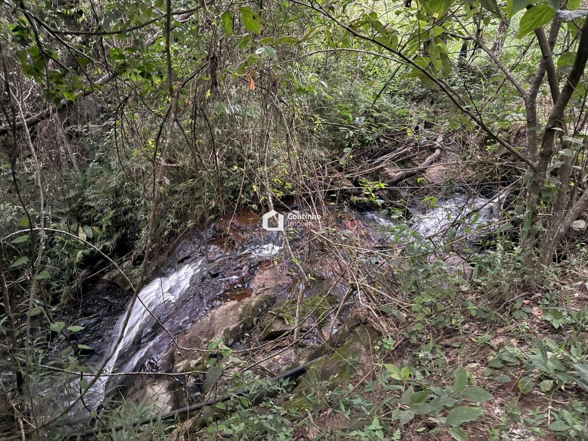 WhatsApp Image 2026-04-17 at 19.28.25.jpeg